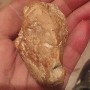 Jasper Angry Waylon jenning Lion with multiple faces